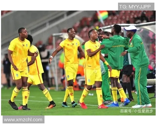 胜负彩分析埃及与津巴布韦对决前瞻及预测解析